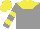 Silk - Grey, yellow yoke, yellow bars on sleeves, yellow cap