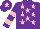 Silk - Purple, pink stars, hooped sleeves and star on cap