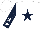 Silk - White,dark blue star,white stars on dark blue sleeves,dark blue star on white cap