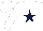 Silk - White, dark blue star