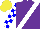 Silk - Purple, white sash, white and blue checked sleeves, yellow cap