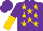 Silk - Purple, gold stars, purple and gold halved sleeves