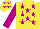 Silk - Yellow, violet stars , violet sleeves, yellow cap with violet stars