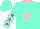 Silk - Aqua, pink collar, pink star, hot pink stars on sleeves, aqua cap