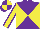 Silk - Purple and yellow diagonal quarters, yellow sleeves, purple seams, purple and yellow quartered cap