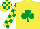 Silk - Yellow, emerald green shamrock, checked sleeves and cap