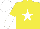 Silk - yellow, white star, halved sleeves and cap