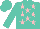 Silk - Turquoise, pink stars, turquoise cap