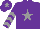Silk - Purple, grey star, grey chevrons on sleeves, grey star on cap