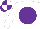 Silk - White, purple disc, purple and white quartered cap