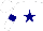 Silk - white, navy star and armlets
