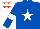 Silk - Royal blue, white star, white armlet, white cap, red stars