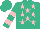 Silk - Mint green, pink stars, pink hoops on sleeves, mint green cap
