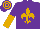Silk - Purple, old gold fleur de lis, halved sleeves, hooped cap