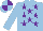 Silk - light blue, purple stars, quartered cap