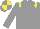 Silk - Grey body, yellow epaulettes, grey arms, grey cap, yellow quartered