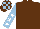 Silk - Brown, light blue sleeves, white stars, brown and light blue blocks on cap