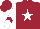 Silk - Garnet body, white star, white arms, garnet chevron, garnet cap