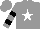 Silk - grey, white star, black hoops on sleeves, grey cap
