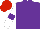 Silk - Purple, lilac band, white sleeves, purple armbands, red cap