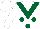 Silk - White, dark green v, dark green spots white sleeves and cap