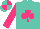 Silk - Turquoise, bright pink shamrock and sleeves, quartered cap