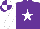 Silk - purple, white star, white sleeves, quartered cap