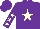Silk - Purple, cream star, stars on sleeves