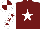 Silk - Burgundy, white star, white sleeves, burgundy stars, quartered cap