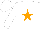 Silk - White body, orange star, white arms, white cap