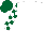 Silk - White, white & dark green check sleeves, dark green cap