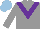Silk - Grey body, purple chevron, grey sleeves, light blue cap