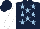 Silk - Dark blue, light blue stars, white sleeves