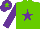 Silk - Light green, purple star & sleeves, purple cap, light green star