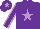 Silk - Purple, mauve star, mauve seams on sleeves, mauve star on cap