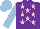 Silk - Purple, pink stars, light blue sleeves & cap