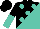 Silk - Black, turquoise diagonal spots, halved sleeves, black cap