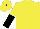 Silk - Yellow, black shield, yellow & black halved sleeves, yellow cap, black button