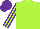 Silk - Lime green, purple striped sleeves, purple cap