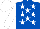 Silk - Royal blue, white stars, white sleeves & cap