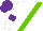 Silk - White, light green sash, purple armlets, purple cap