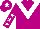 Silk - Violet, white chevron, violet sleeves, white stars , violet cap, white star
