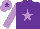 Silk - Purple, mauve star and sleeves, mauve cap, purple star