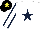 Silk - White, dark blue star, dark blue seams on sleeves, black cap, yellow star