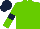 Silk - light green, dark blue armlets on sleeves, dark blue cap