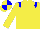 Silk - yellow, blue epaulets, quartered cap