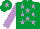 Silk - Emerald Green, Mauve stars, sleeves and star on cap
