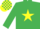 Silk - EMERALD GREEN, yellow star, check cap