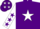 Silk - PURPLE, white star, white sleeves, purple stars, purple cap, white stars