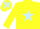 Silk - Yellow, Light Blue star on body and cap, Yellow sleeves, Light Blue stars
